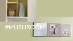 MONTANA Mini Hylle Modul M. Horisontale Hyller - Mushroom -UNOLIVING Butikk MT00628 video thumbnail new