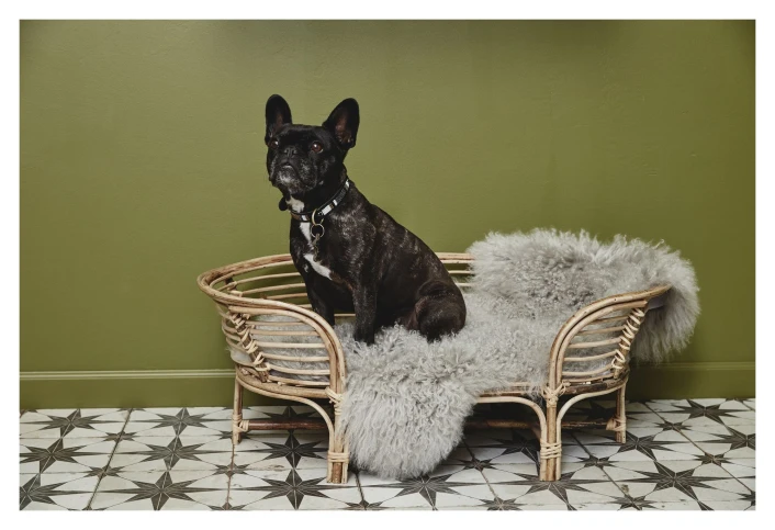 Nordal IRIRI Hundekurv - Rotting 5 Nordal IRIRI Hundekurv - Rotting - Bilde 5